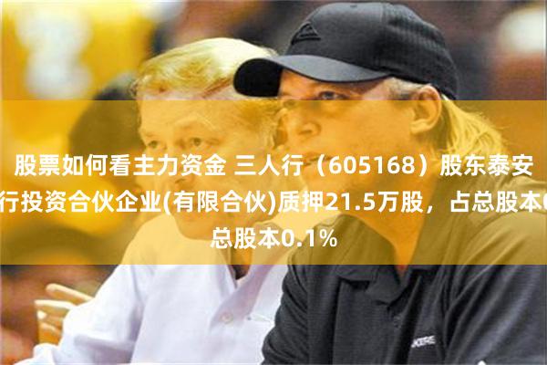 股票如何看主力资金 三人行（605168）股东泰安市众行投资合伙企业(有限合伙)质押21.5万股，占总股本0.1%