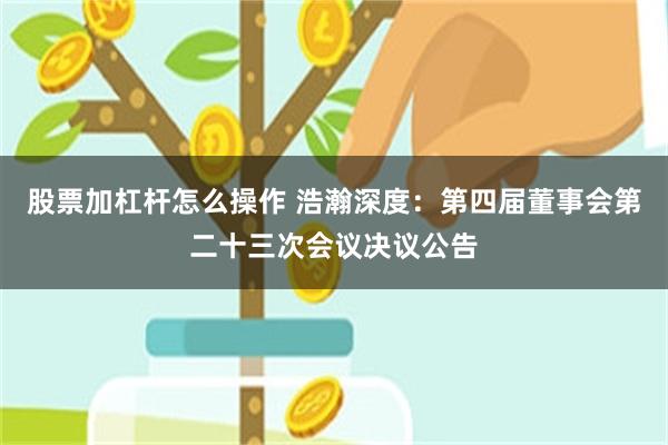 股票加杠杆怎么操作 浩瀚深度：第四届董事会第二十三次会议决议公告