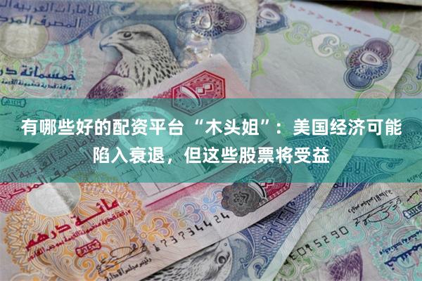 有哪些好的配资平台 “木头姐”：美国经济可能陷入衰退，但这些股票将受益