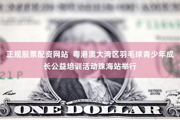 正规股票配资网站  粤港澳大湾区羽毛球青少年成长公益培训活动珠海站举行
