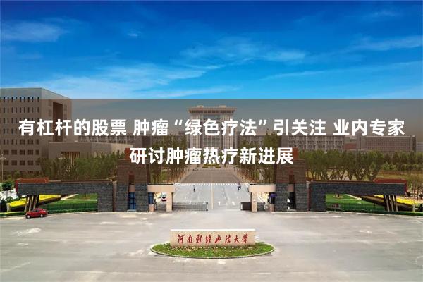 有杠杆的股票 肿瘤“绿色疗法”引关注 业内专家研讨肿瘤热疗新进展