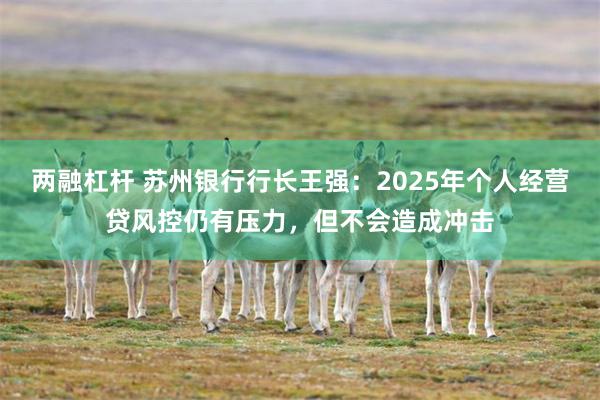 两融杠杆 苏州银行行长王强：2025年个人经营贷风控仍有压力，但不会造成冲击