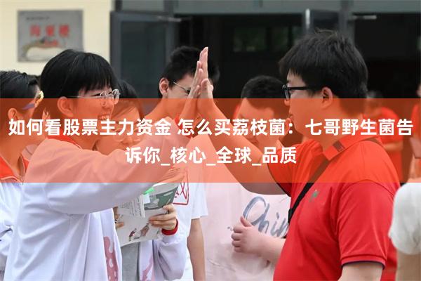 如何看股票主力资金 怎么买荔枝菌：七哥野生菌告诉你_核心_全球_品质