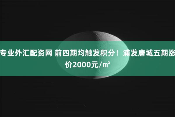 专业外汇配资网 前四期均触发积分！浦发唐城五期涨价2000元/㎡