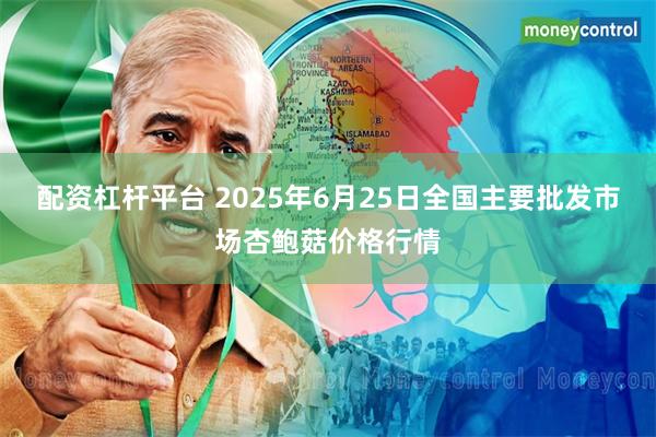 配资杠杆平台 2025年6月25日全国主要批发市场杏鲍菇价格行情