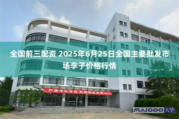 全国前三配资 2025年6月25日全国主要批发市场李子价格行情