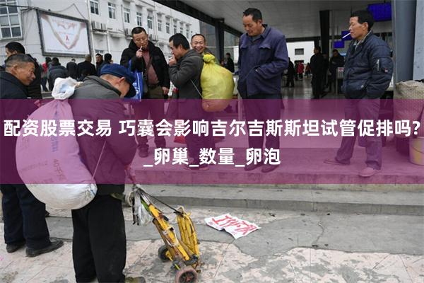 配资股票交易 巧囊会影响吉尔吉斯斯坦试管促排吗?_卵巢_数量_卵泡